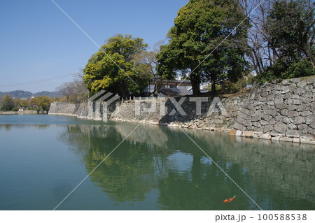 広島城 お堀 広島城 お堀 100588538