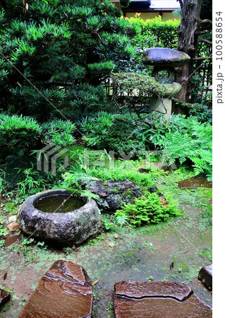 新緑の頃に訪れた… 御家老殿の御庭 新緑の頃に訪れた… 御家老殿の御庭 100588654