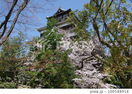 広島城 桜の天守 100588918