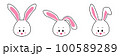 face set of a cute white rabbit. Kawaii bunny ear emoji, or bunny emoticon. symbol of a rabbit. Expression of a funny animal cartoon figure. outline in a vector illustration 100589289