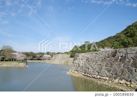 萩城 お堀と桜 100589830