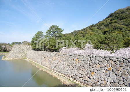 萩城 お堀と桜 萩城 お堀と桜 100590491