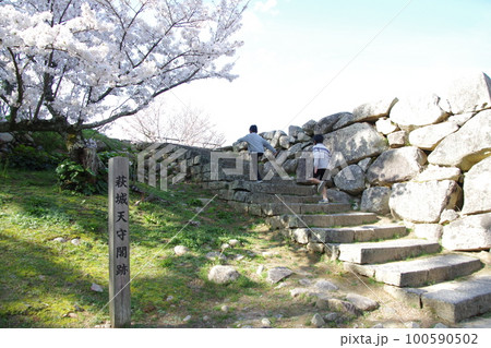 萩城 天守閣跡の桜と子供 100590502