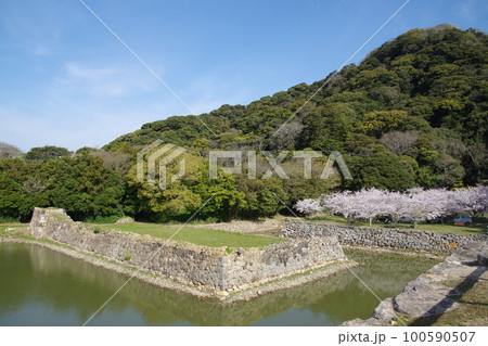 萩城 お堀と桜 100590507