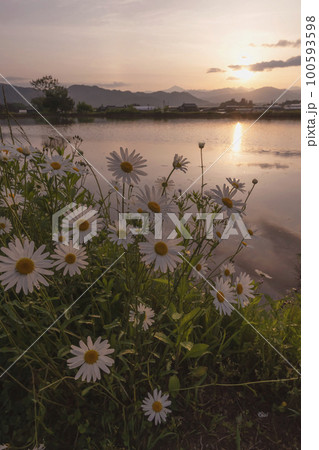 220526上野平s134 220526上野平s134 100593598