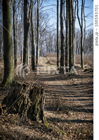 Little Carpathians scenery, Slovakia, seasonal natural scene Little Carpathians scenery, Slovakia, seasonal natural scene 100593701
