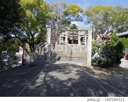 八幡神社(愛媛県八幡浜市) 八幡神社(愛媛県八幡浜市) 100594321