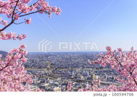 桜咲く松田山から足柄平野を展望する 100594706