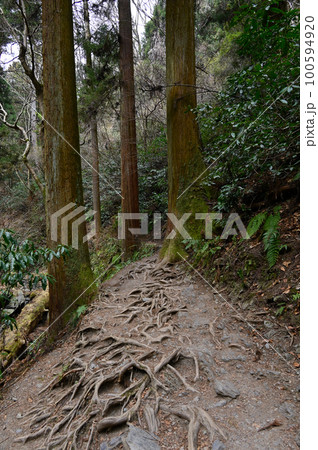 高尾山六号路の道 100594920