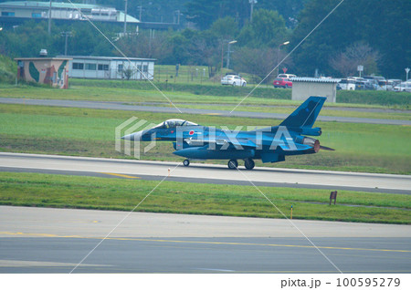 F-2戦闘機 100595279