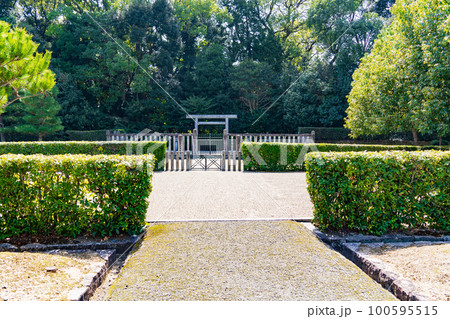 京都市伏見区　光明天皇　崇光天皇　大光明寺陵 100595515