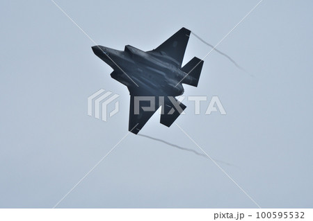 ステルス戦闘機 F-35A ステルス戦闘機 F-35A 100595532