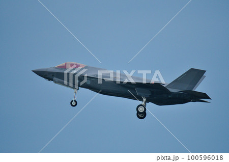 ステルス戦闘機 F-35A ステルス戦闘機 F-35A 100596018