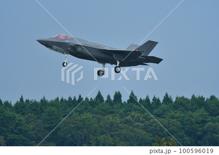 ステルス戦闘機 F-35A ステルス戦闘機 F-35A 100596019