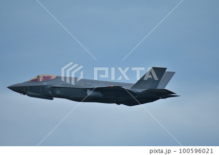 ステルス戦闘機 F-35A 100596021