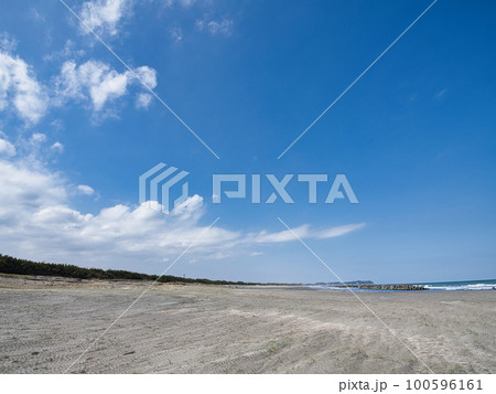 3月春の大原海岸 3月春の大原海岸 100596161