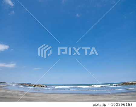 3月春の大原海岸 3月春の大原海岸 100596163