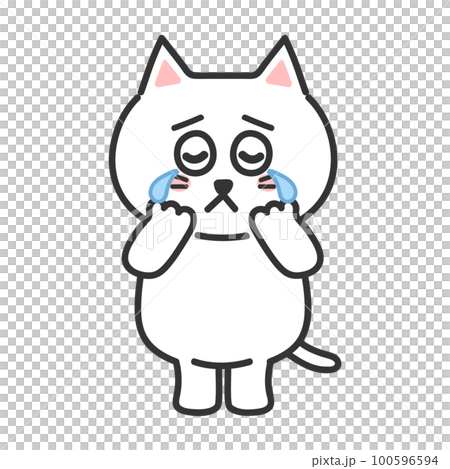 涙を流す猫のイラスト　白猫 100596594