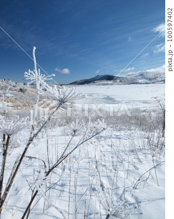 雪景色 長野県霧ヶ峰高原 雪景色 長野県霧ヶ峰高原 100597402