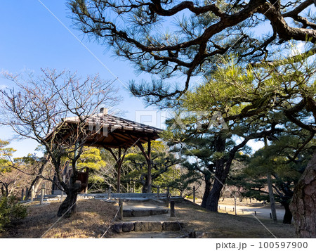 大寒の栗林公園（1月下旬） 100597900