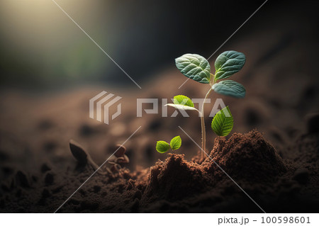 New life young plant at sunrise. Save environment and Earth day concept. AI New life young plant at sunrise. Save environment and Earth day concept. AI 100598601