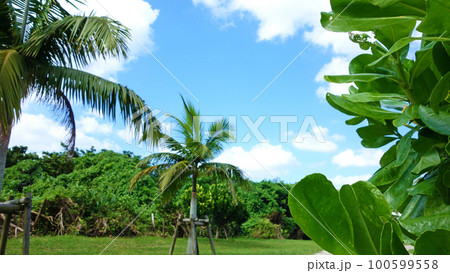 沖縄の風景 宇座ビーチ 沖縄県 読谷村  100599558