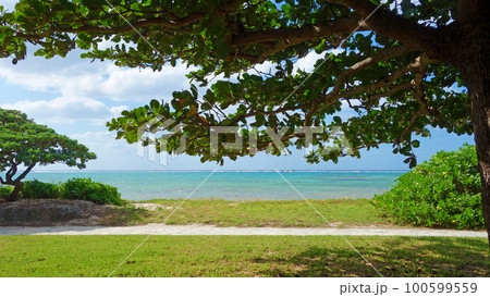 沖縄の風景 宇座ビーチ 沖縄県 読谷村  100599559