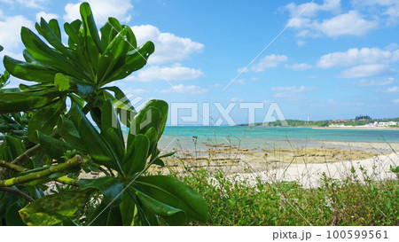 沖縄の風景 宇座ビーチ 沖縄県 読谷村 沖縄の風景 宇座ビーチ 沖縄県 読谷村 100599561