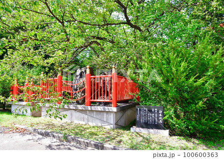 宝徳山稲荷大社　神木化石（新潟県） 100600363