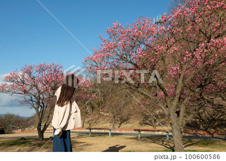 梅の花と女性 梅の花と女性 100600586