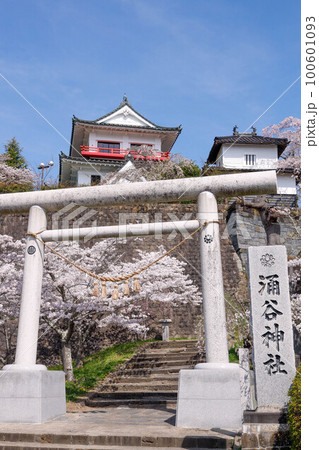 涌谷城跡の桜 涌谷城跡の桜 100601093
