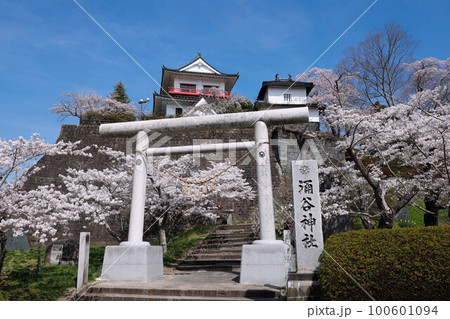 涌谷城跡の桜 涌谷城跡の桜 100601094
