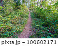 森の中のハイキングトレイル 100602171