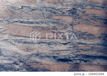 Real nature abstract background. Copy space damaged rustic cracked old board table jagged outlines agate gray DARK brown colour wall, grunge texture. Fatal circumstances mood. Construction, antiquity 100602666