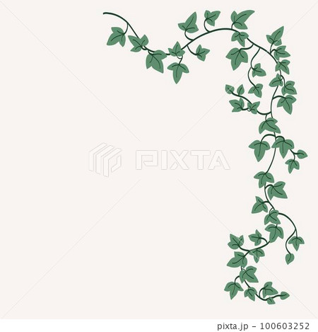 Floral ivy drawing decorative ornament flat design. 100603252