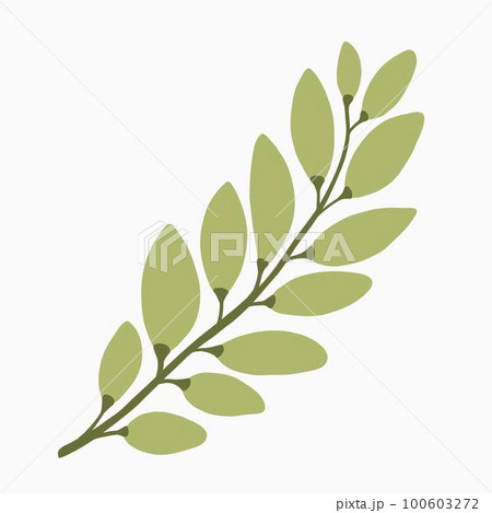 Simplicity floral freehand drawing flat design. Simplicity floral freehand drawing flat design. 100603272