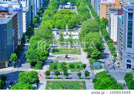 大通公園　(北海道札幌市中央区) 100603999