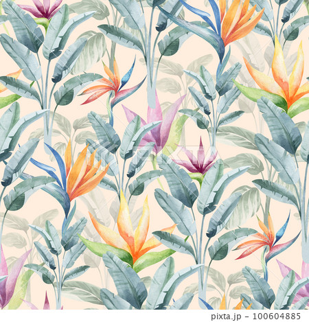 watercolor seamless pattern. floral background tropical blooming flowers and leaves. Plants and flowers of Australia. for fabric, textile, roll wallpaper, design, cards, invitations, stickers, wedding 100604885