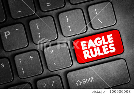 Eagle Rules text button on keyboard, concept background 100606008