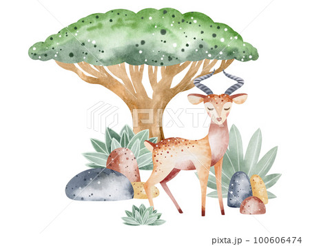 Watercolor illustration of an alligator in nature. Children's illustration of an animal. Book drawing. 100606474