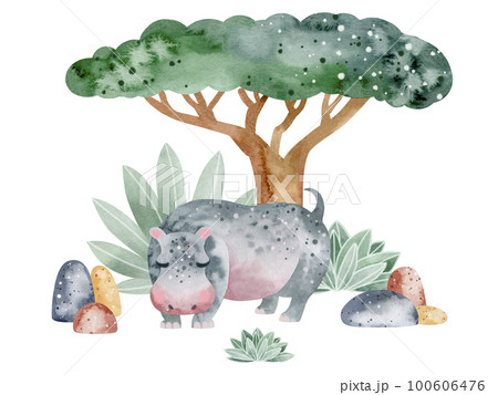 Watercolor illustration of an alligator in nature. Children's illustration of an animal. Book drawing. 100606476