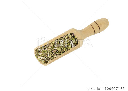 Catnip herb in latin - Nepeta cataria in wooden scoop isolated on white background. Medicinal herb. 100607175