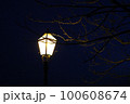 Festival of Lights 2023., picturesque installations, Zagreb, Croatia 100608674
