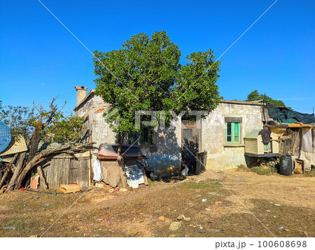 Hut herdsman house yard cat 100608698