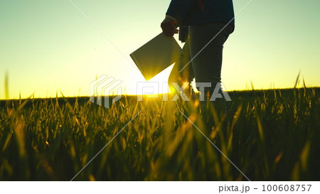 Farmer silhouette tablet field summer. harvest sunset agriculture farming business. work man wheat display ground soil fresh plant asian. happy human market ripe corn young senior vertical looking. 100608757