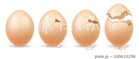 Farm Eggs Realistic Concept 100610206