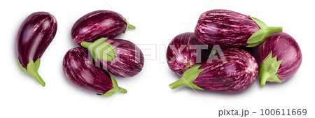 striped eggplant graffiti isolated on white background with  full depth of field. Top view. Flat lay 100611669