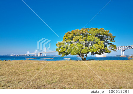 【沙弥ナカンダ浜より瀬戸大橋】 香川県坂出市沙弥島 100615292