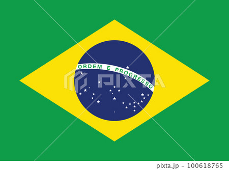 Brazil national official flag symbol, banner vector illustration.