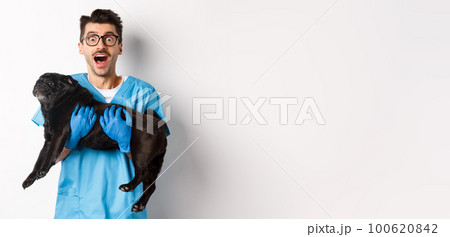 Vet clinic concept. Happy male doctor veterinarian holding cute black pug dog, staring at camera amazed, white background Vet clinic concept. Happy male doctor veterinarian holding cute black pug dog, staring at camera amazed, white background 100620842